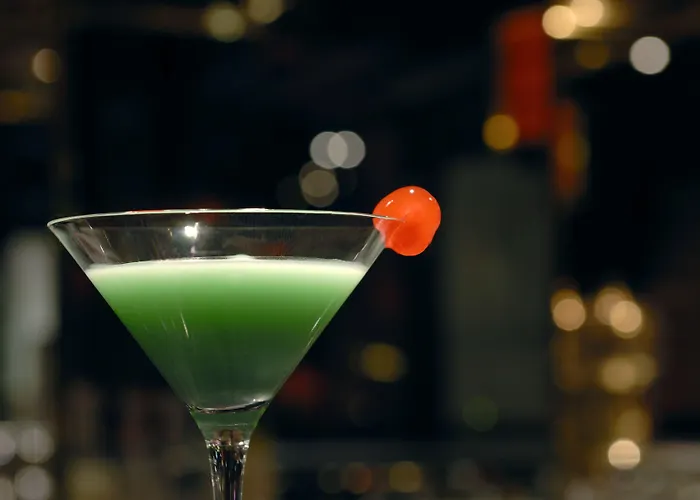 فندق Radisson Blu كوتبوس